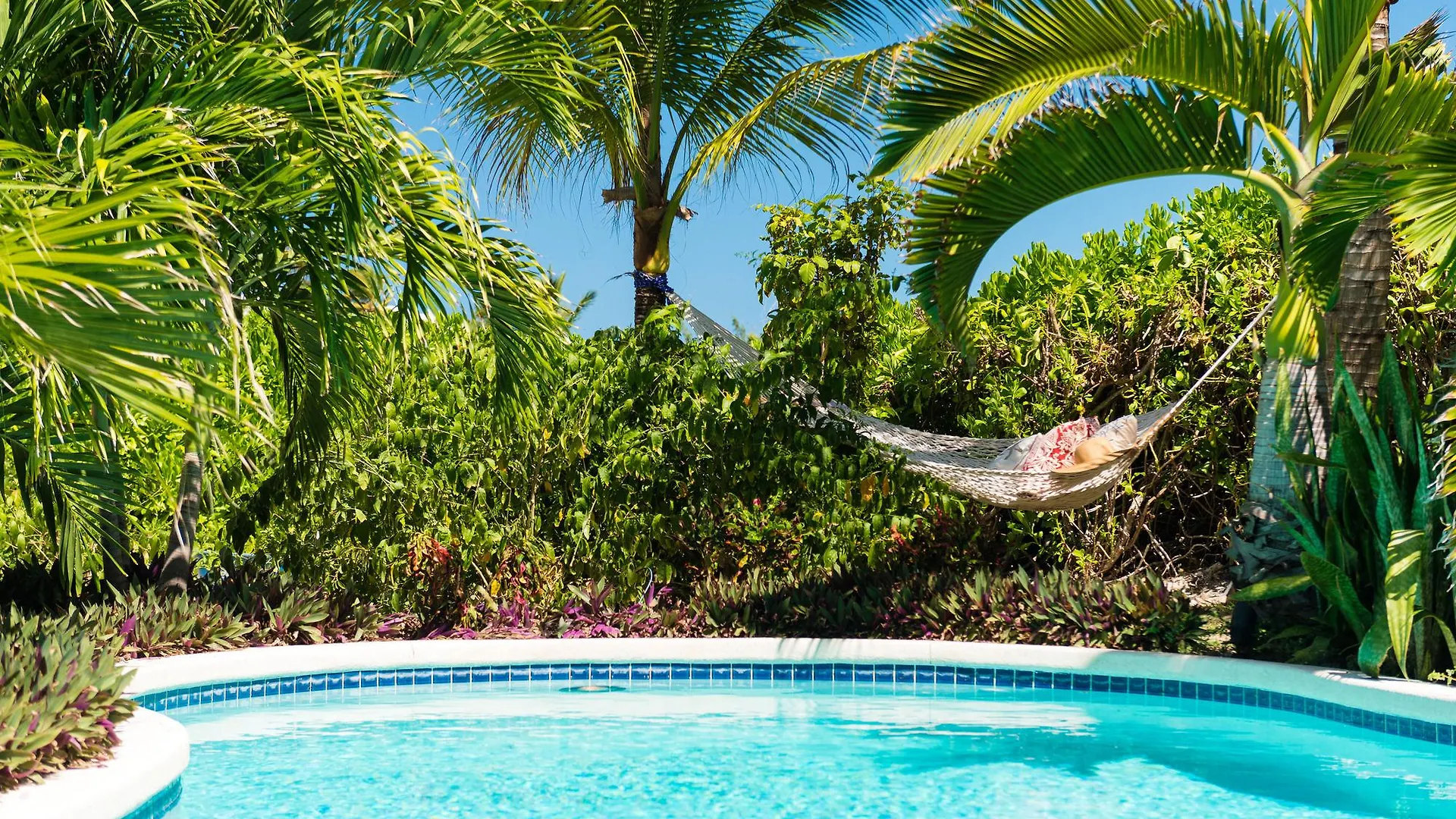The Oasis At Grace Bay Hotel 3*,